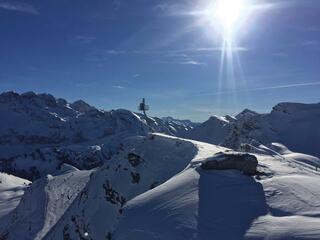 Lawinenmast Lawinensprengmast