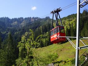 20-ATW, Kies Mettmen